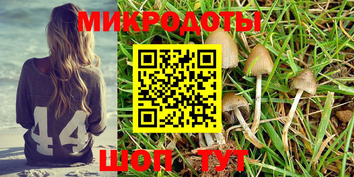 Галлюциногенные грибы мицелий Новоуральск