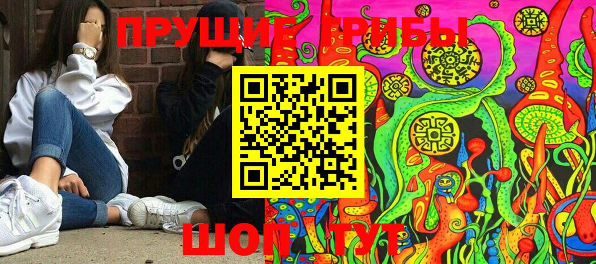 Новоуральск  Псилоцибиновые грибы Psilocybine cubensis  Вход с VPN 